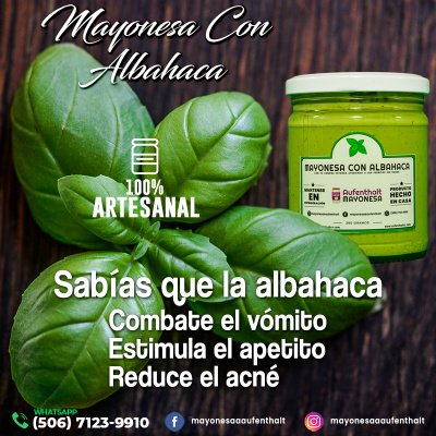 mayonesa_con_albahaca-2-whatsapp
